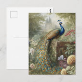 Botanisch: pauw in de buurt van kasteel in Engelse Briefkaart (Voorkant / Achterkant)