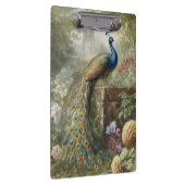 Botanisch: pauw op trap in een Engelse tuin Klembord (Rechts)