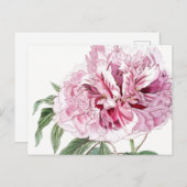  BOTANISCH PINK PEONY-BRIEFKAART BRIEFKAART (Voorkant / Achterkant)