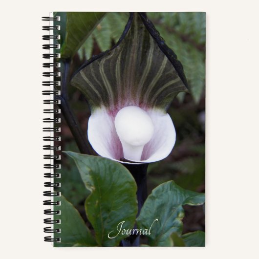 Botanisch Plant met Jack-in-the-Pulpit Notitieboek (Voorkant)