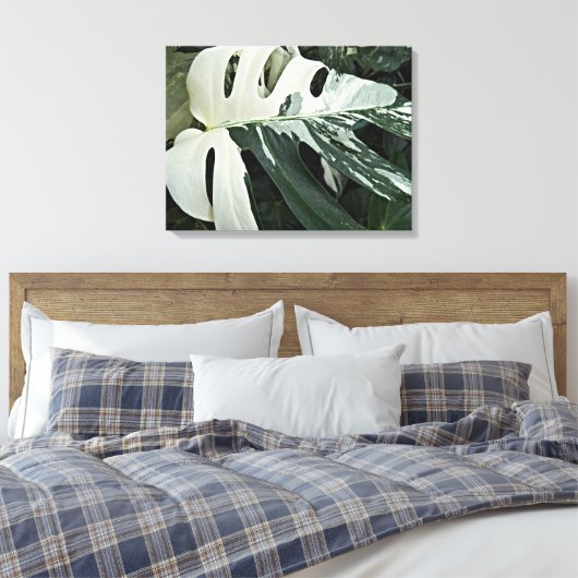 Botanisch Plant met variëteit Zwitserse kaas Canvas Afdruk (Insitu (Slaapkamer))
