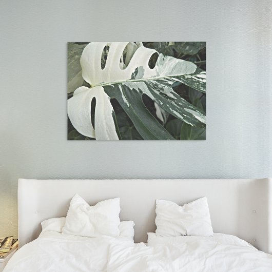 Botanisch Plant met variëteit Zwitserse kaas Canvas Afdruk