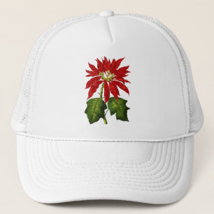 Botanisch Poinsettia Pet
