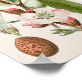 botanisch poster (Hoek)