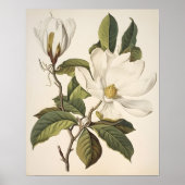  Botanisch Poster (Voorkant)