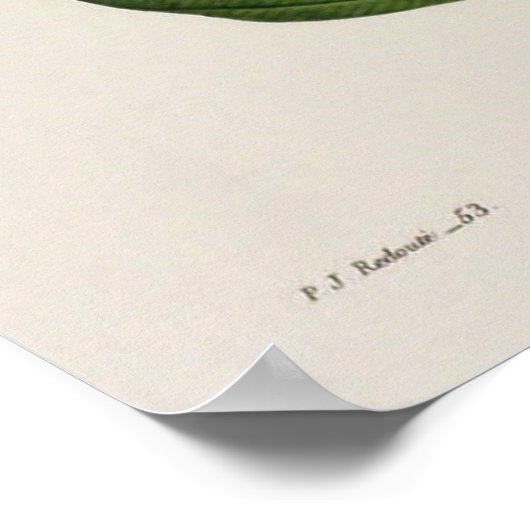  Botanisch Poster (Hoek)