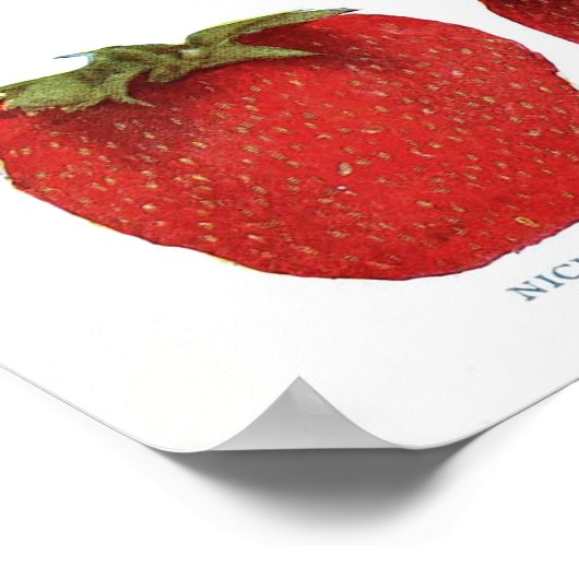 botanisch Poster - aardbei (Hoek)