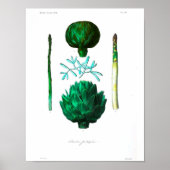  botanisch Poster - Artichoke (Voorkant)