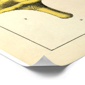 Botanisch Poster - Britse paddenstoel (Hoek)