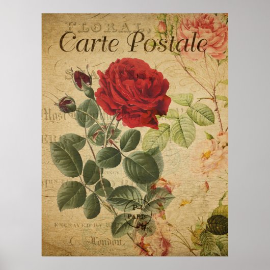  botanisch Poster - Frans Briefkaart Roos (Voorkant)