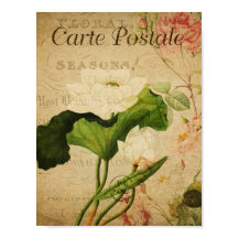  botanisch Poster - Franse Lotus
