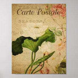 botanisch Poster - Franse Lotus