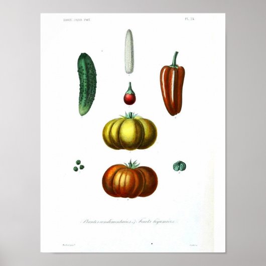  Botanisch Poster - Knijp (Voorkant)