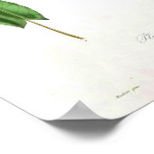  botanisch Poster - Leek (Hoek)