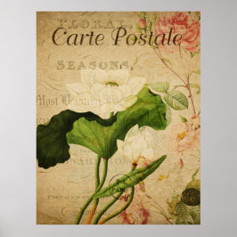  botanisch Poster - Lotus Flower