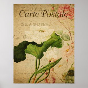  botanisch Poster - Lotus Flower