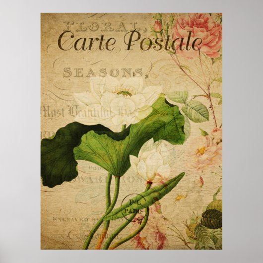  botanisch Poster - Lotus Flower (Voorkant)