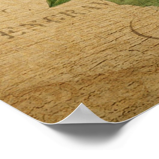  Botanisch Poster - Marigold (Hoek)