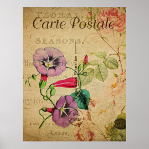 botanisch Poster - Morning Glory