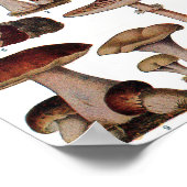 botanisch Poster - paddenstoelenfamilie (Hoek)