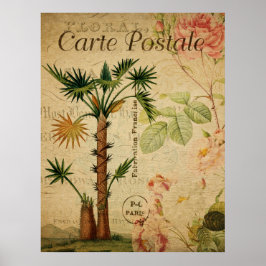  botanisch Poster - palmboom