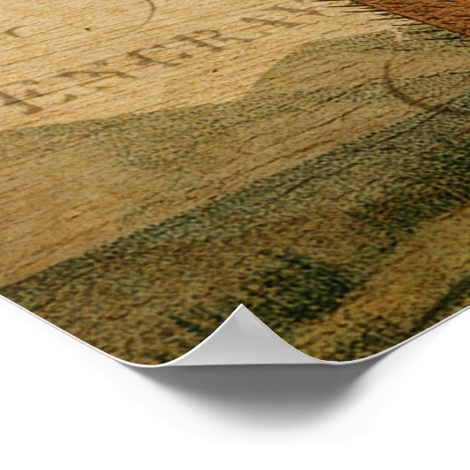  botanisch Poster - palmboom (Hoek)