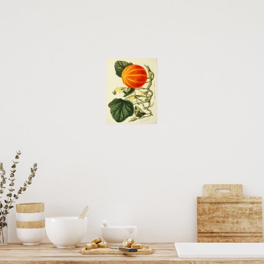  botanisch Poster - pompoen (Keuken)