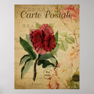  Botanisch Poster - Rhododenron