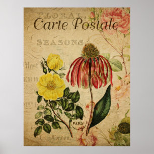  Botanisch Poster - Rudbeckia