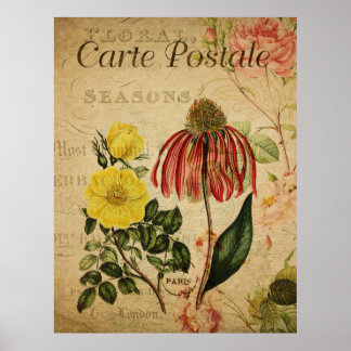 Botanisch Poster - Rudbeckia