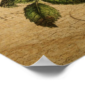  Botanisch Poster - Rudbeckia (Hoek)