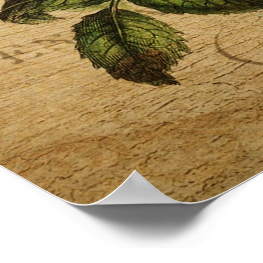  Botanisch Poster - Rudbeckia (Hoek)