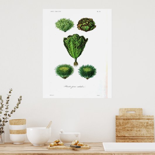  botanisch Poster - Sla (Keuken)