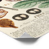  botanisch Poster - Varkens (Hoek)