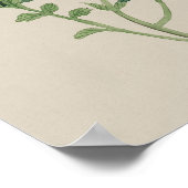  botanisch Poster - Waterverf ventilator (Hoek)