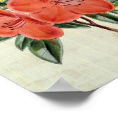  Botanisch President Azalea Poster (Hoek)