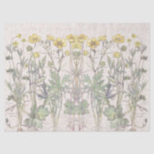 Botanisch Ranunculus Flowers Florence-weefselpapie Tissuepapier (Voorkant)