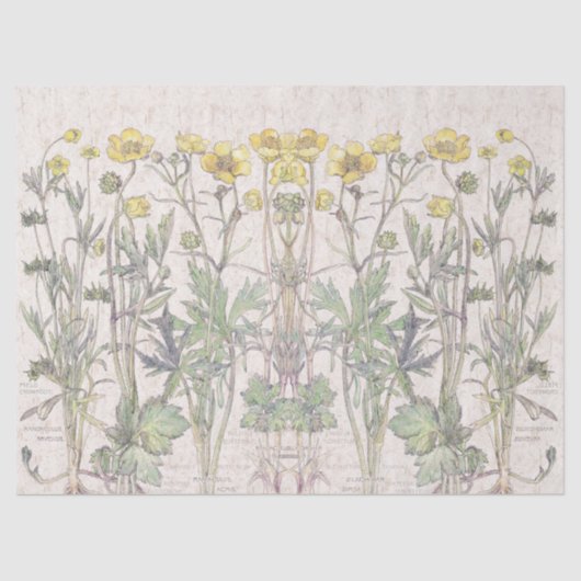 Botanisch Ranunculus Flowers Florence-weefselpapie Tissuepapier (Voorkant)