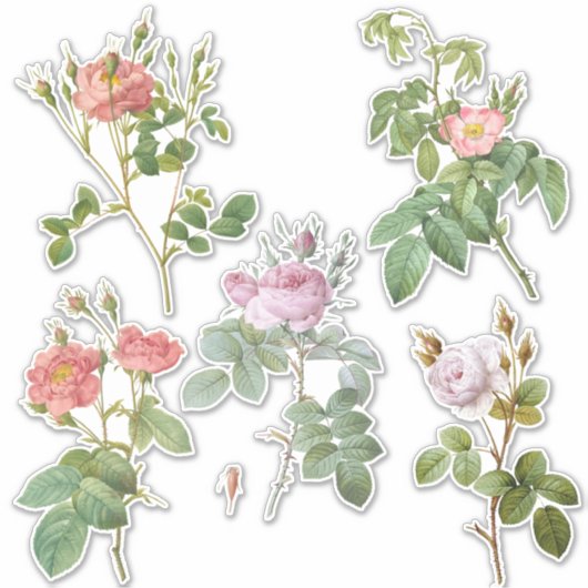 Botanisch Roos Custom-Cut Vinyl Stickers (Voorkant)