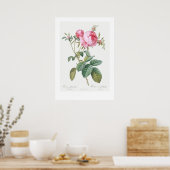  BOTANISCH ROOS ILLUSTRATIE POSTER (Keuken)