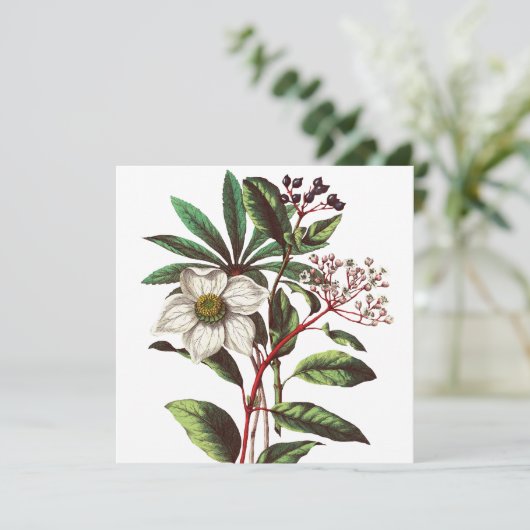  Botanisch Roos met kerstmis Vloer Bouquet (Staand voorkant)