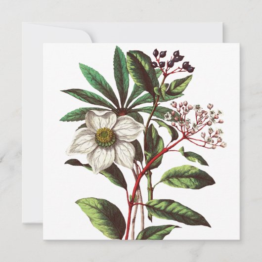 Botanisch Roos met kerstmis Vloer Bouquet (Voorkant)