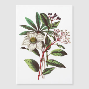 Botanisch Roos met kerstmis Vloer Bouquet