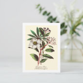  Botanisch Roos met kerstmis Vloer Bouquet Briefkaart (Staand voorkant)