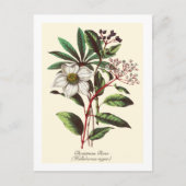  Botanisch Roos met kerstmis Vloer Bouquet Briefkaart (Voorkant)