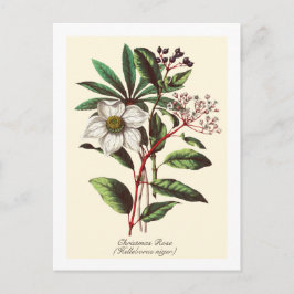 Botanisch Roos met kerstmis Vloer Bouquet Briefkaart