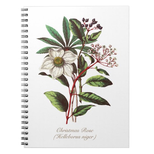 Botanisch Roos met kerstmis Vloer Bouquet Notitieboek (Voorkant)