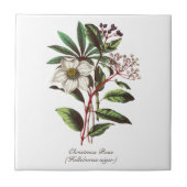  Botanisch Roos met kerstmis Vloer Bouquet Tegeltje (Voorkant)