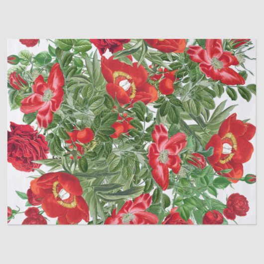 Botanisch Roos Peony Flowers Floral-weefselpapier Tissuepapier (Voorkant)