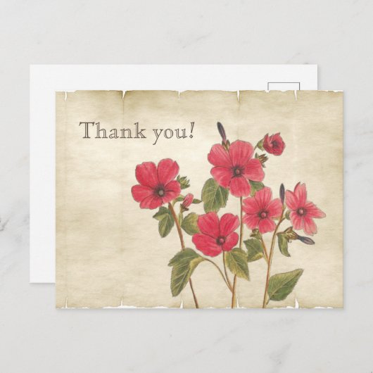 Botanisch Roze Wildbloemen Dank u Briefkaart (Voorkant / Achterkant)